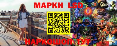 гашик Нальчик