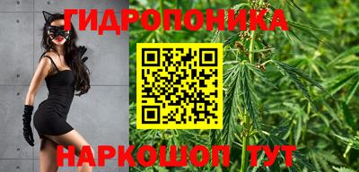 гашик Нальчик