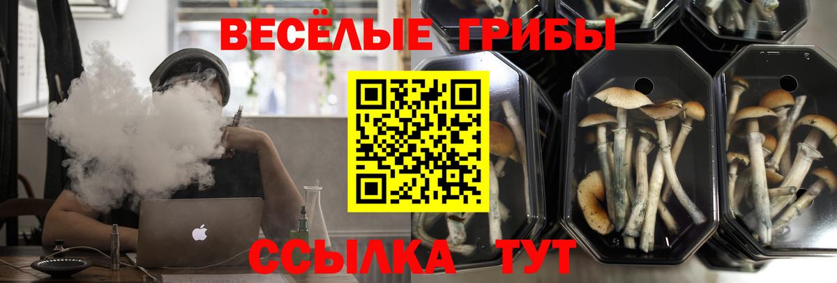 Тобольск  Галлюциногенные грибы мухоморы  закладка  Вход с VPN  Псилоцибиновые грибы прущие грибы 